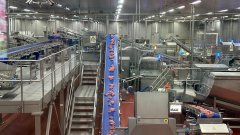 <b>透偏激腿肠“降生记” 看智能产线若何守护舌尖</b>